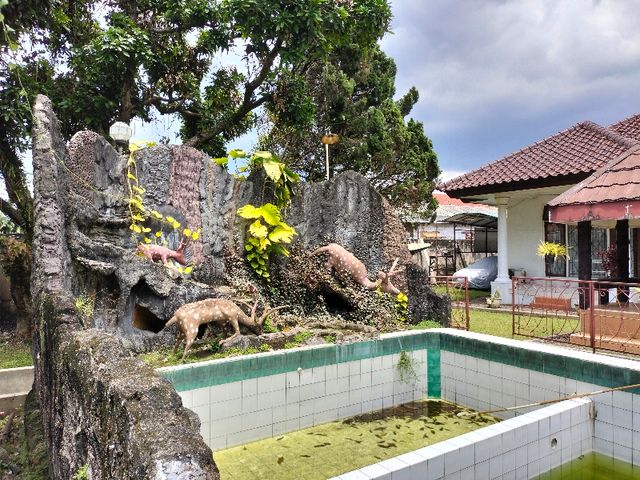 place photo 18