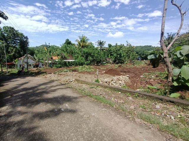 place photo 7
