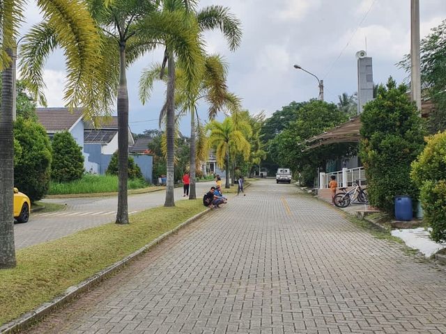 place photo 12