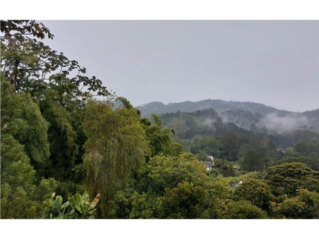 place photo 49