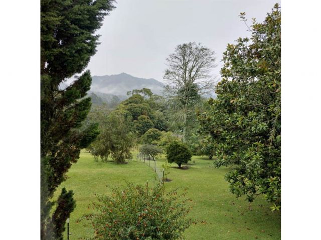 place photo 50