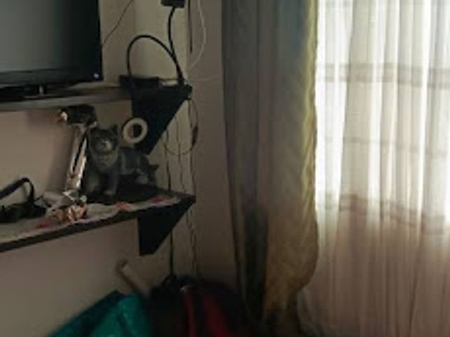 place photo 25
