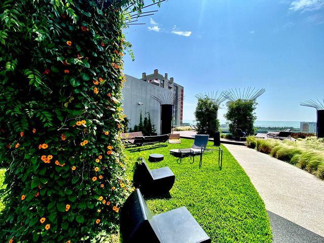 place photo 47
