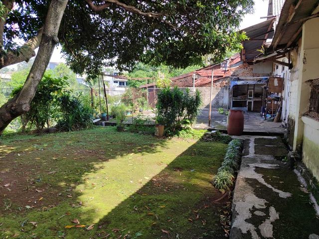 place photo 27