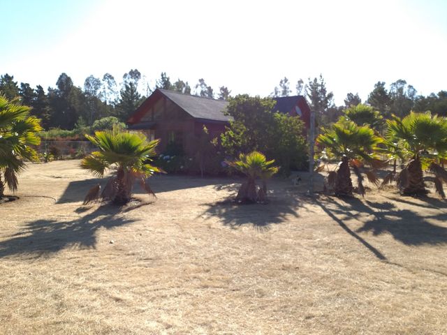 place photo 27
