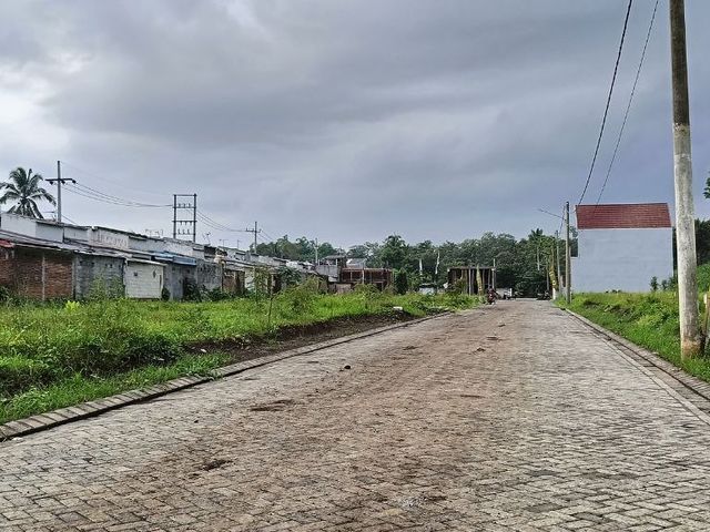 place photo 7