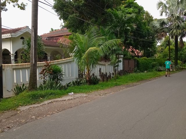 place photo 19