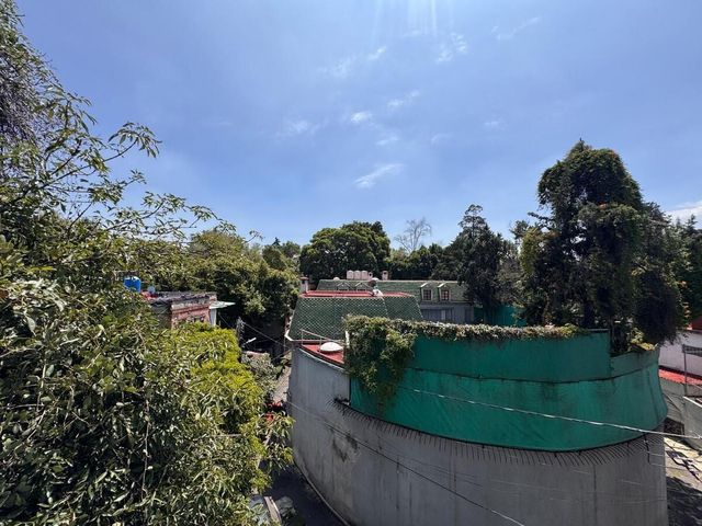 place photo 38
