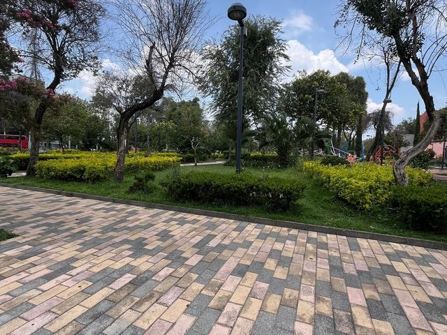 place photo 28