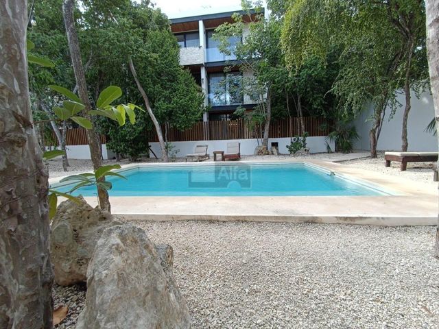 place photo 58