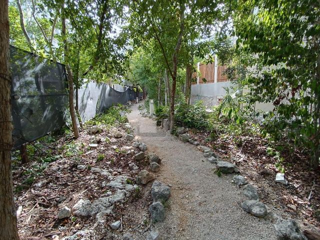 place photo 65