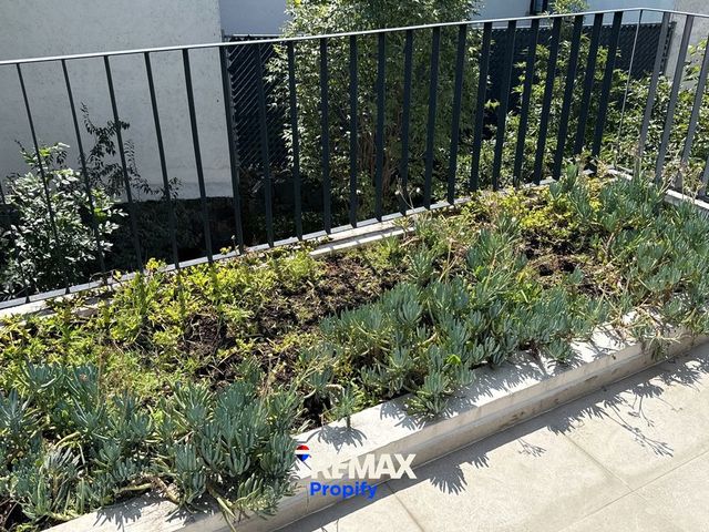 place photo 45