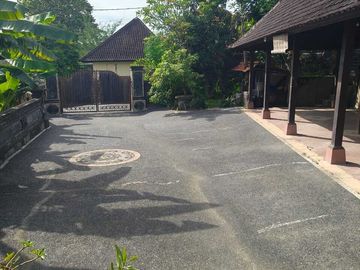 place photo 11