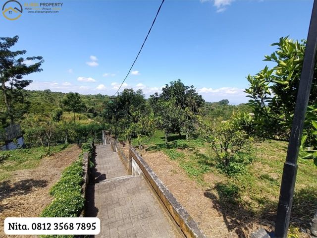 place photo 28
