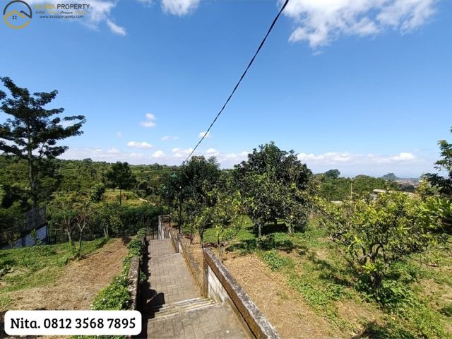 place photo 29