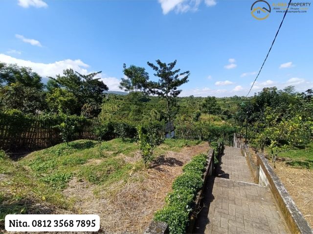 place photo 26