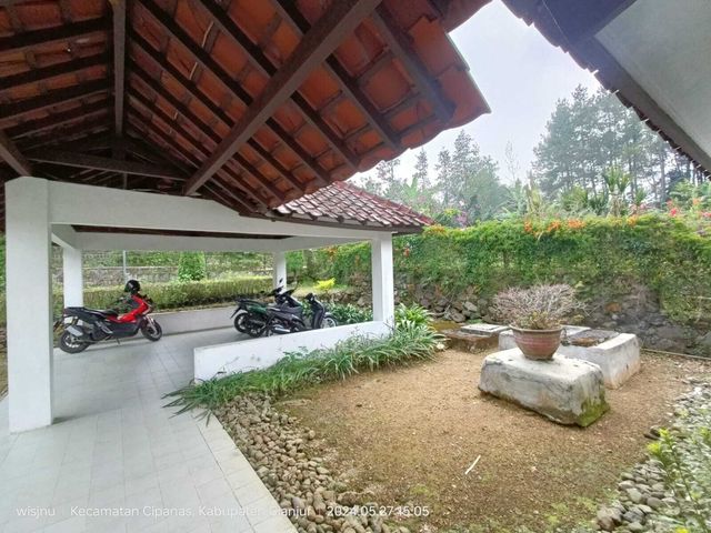 place photo 17