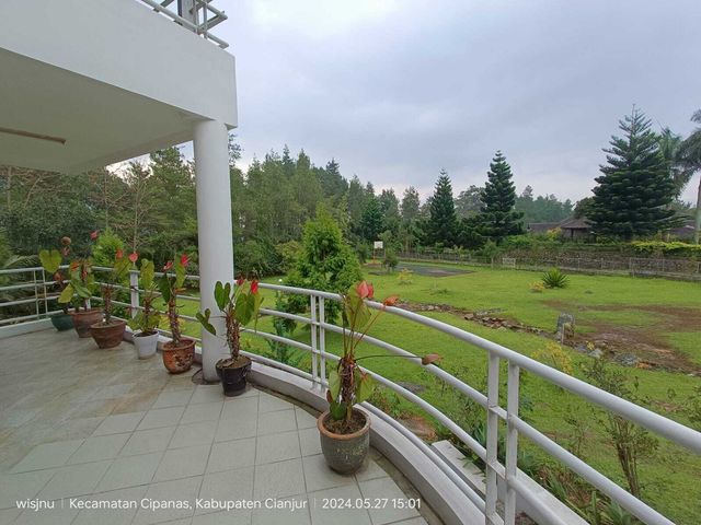 place photo 24