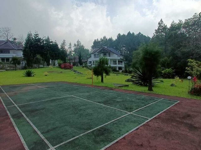 place photo 35