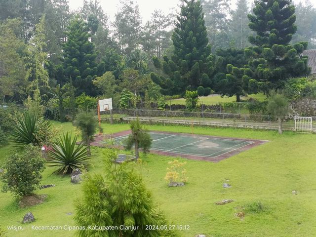 place photo 12