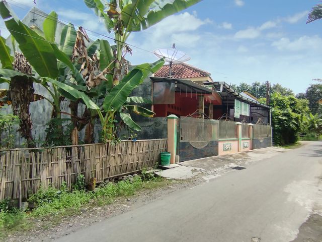 place photo 3