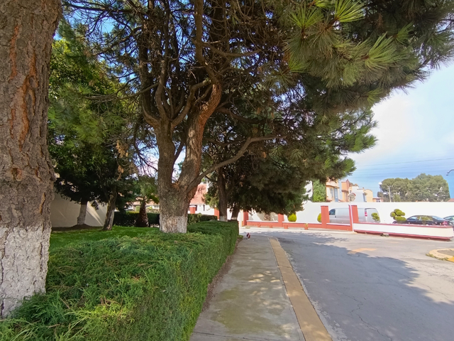place photo 39