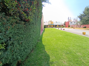 place photo 44