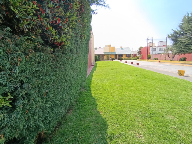 place photo 44
