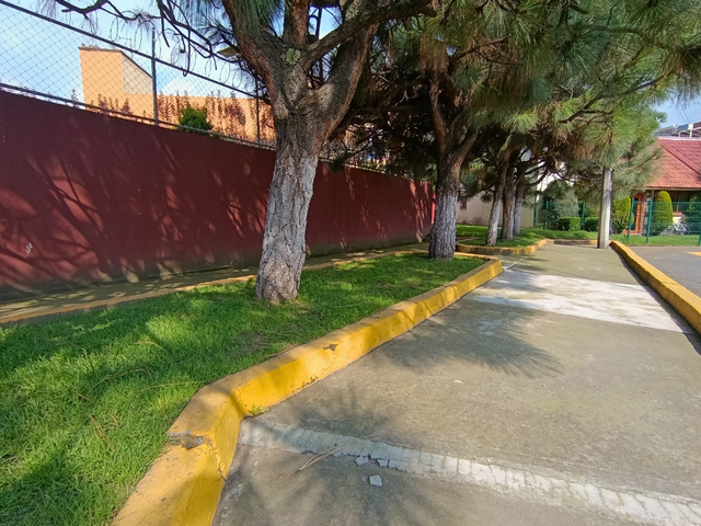 place photo 43