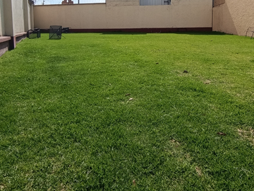 place photo 37
