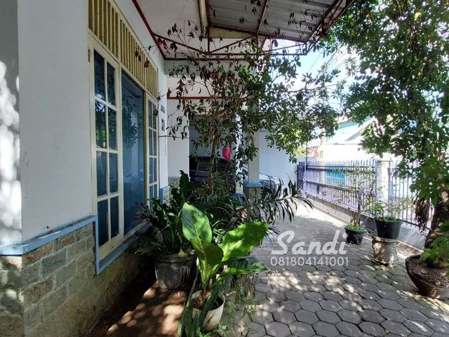 place photo 18