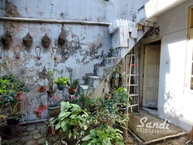 place photo 13