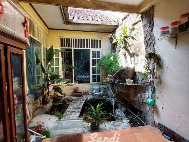 place photo 23