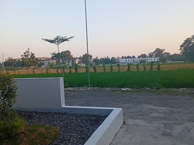 place photo 11