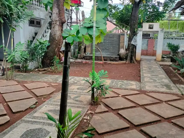 place photo 9