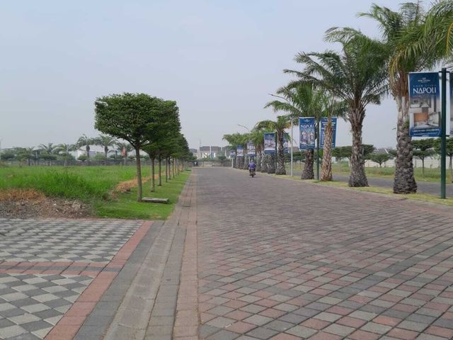 place photo 7
