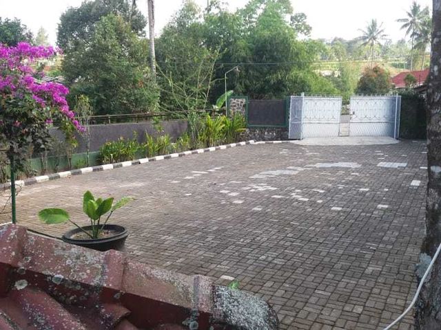 place photo 33