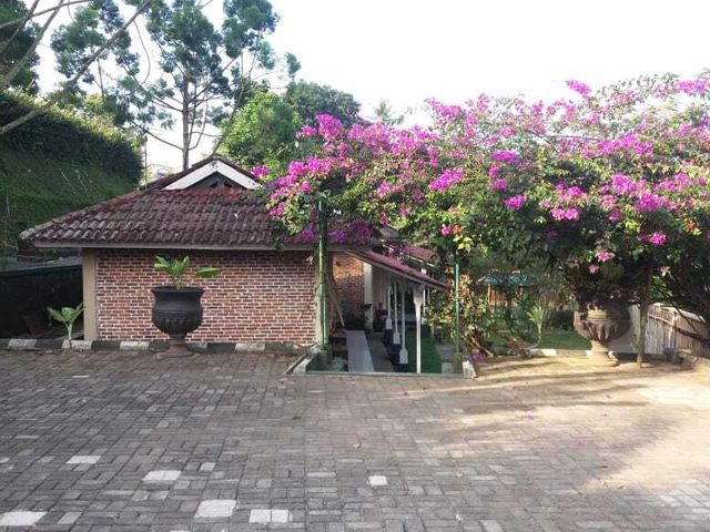 place photo 30