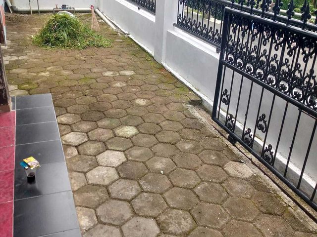 place photo 24