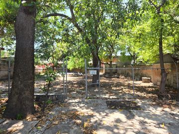 place photo 27