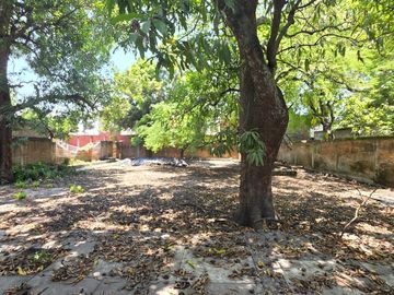 place photo 25
