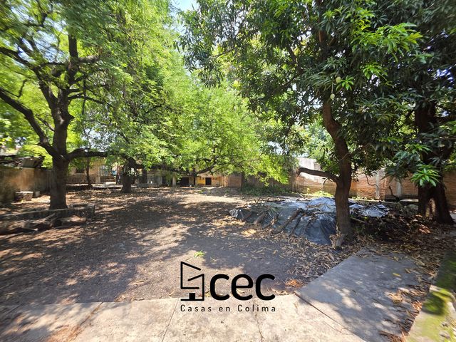place photo 23