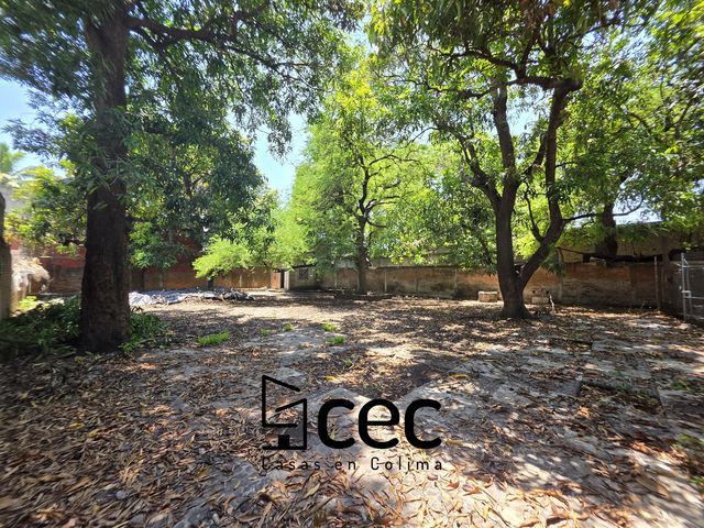place photo 26