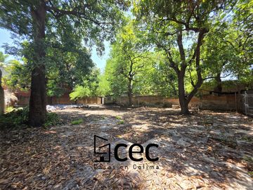 place photo 26