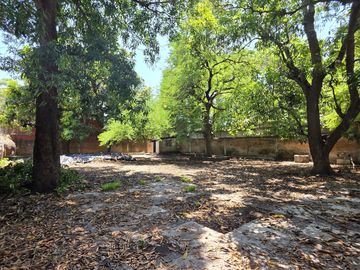 place photo 24