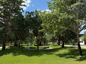 place photo 24