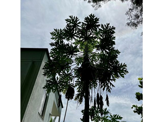 place photo 39
