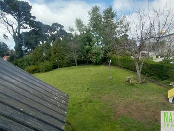 place photo 38