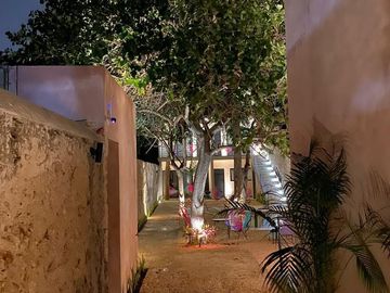 place photo 14