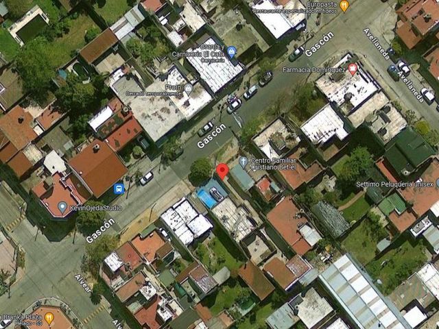 place photo 10